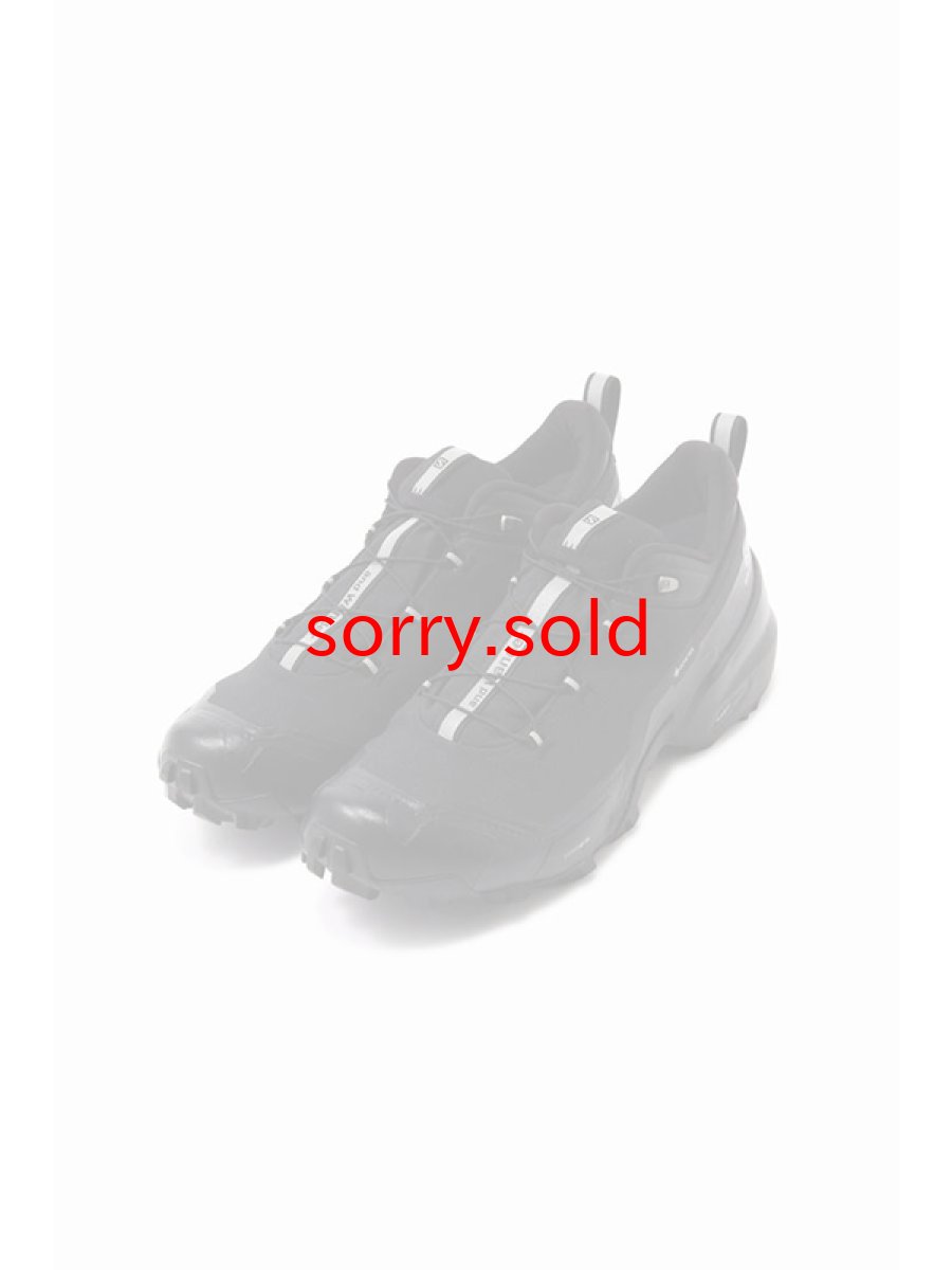 画像1: and wander / アンドワンダー / salomon CROSSHIKE for and wander  (1)