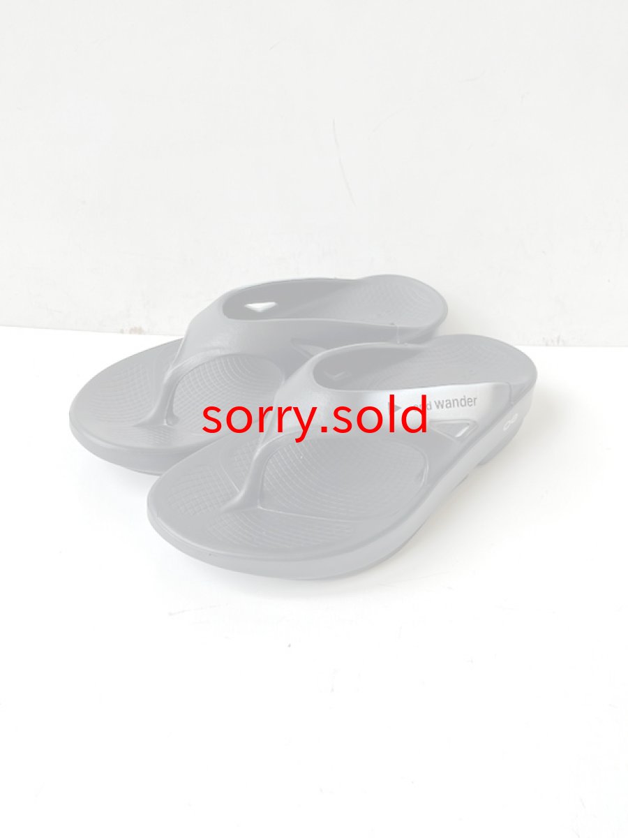 画像1: SALE and wander / アンドワンダー / OOFOS original × and wander recovery sandal (1)