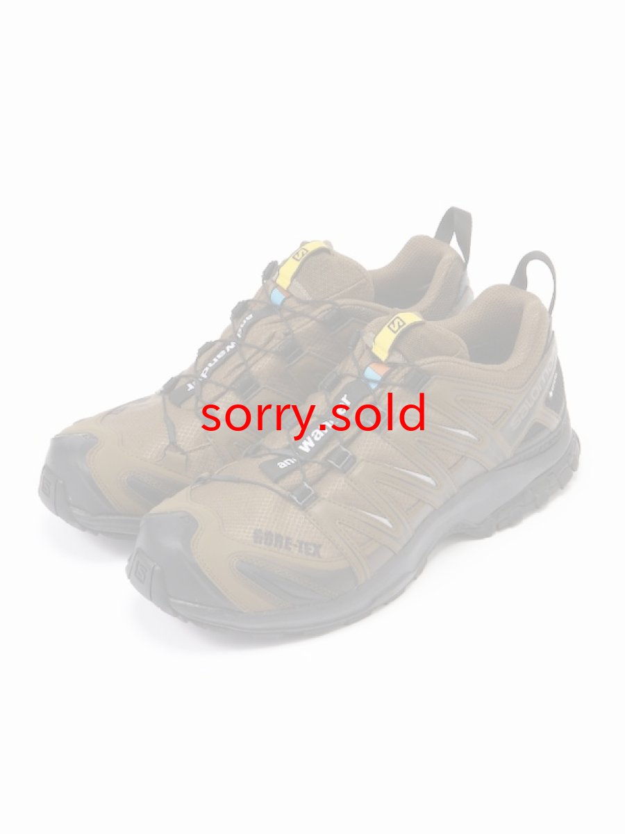 画像1: and wander / アンドワンダー / SALOMON × and wander XA PRO 3D GORE-TEX (1)