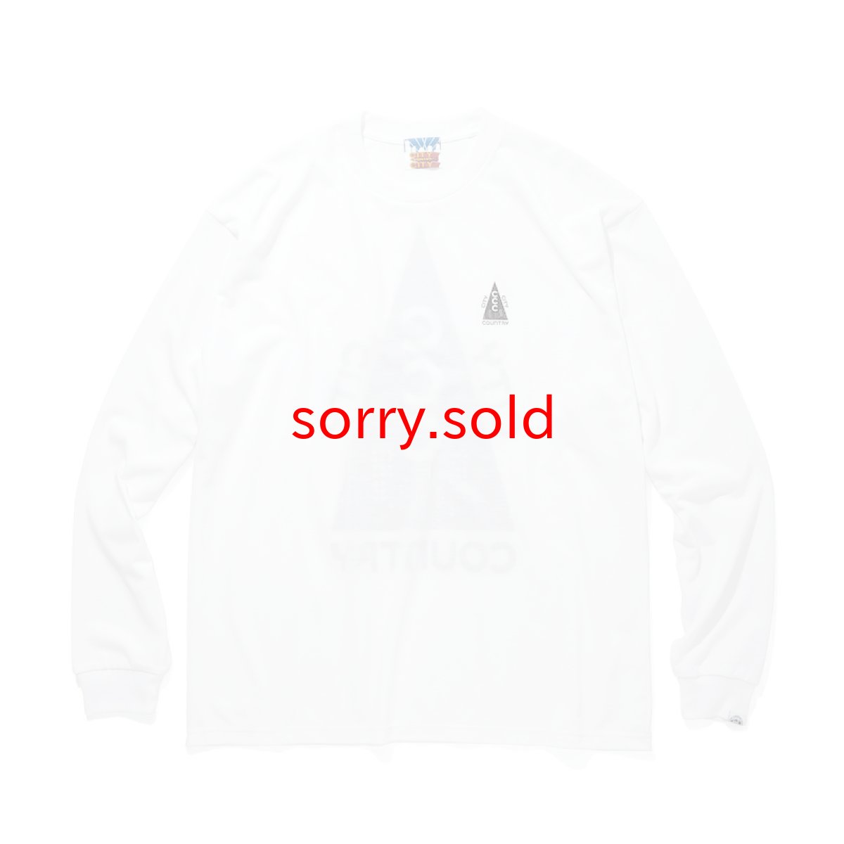 画像1: CITY COUNTRY CITY / シティーカントリーシティー / DRY L/S T-SHIRT (1)