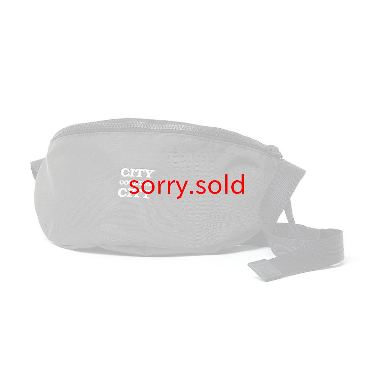 画像1: SALE CITY COUNTRY CITY / シティーカントリーシティー / CITY COUNTRY CITY x hobo EVERYDAY WAIST POUCH NYLON OXFORD  (1)