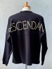 画像1: DESCENDANT / ディセンダント / CETUS JERSEY LS (1)