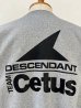 画像5: DESCENDANT / ディセンダント / STERN CREW NECK