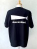 画像1: DESCENDANT / ディセンダント / CACHALOT SS (1)