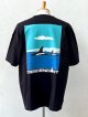DESCENDANT / ディセンダント / ENVIRONMENT ORGANIC COTTON SS