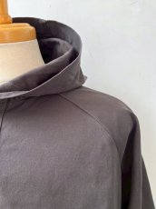 画像6: DESCENDANT / ディセンダント / MOLE HOODED LS SHIRT (6)