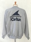 画像3: DESCENDANT / ディセンダント / STERN CREW NECK