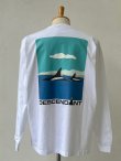 画像1: DESCENDANT / ディセンダント / ENVIRONMENT ORGANIC COTTON LS